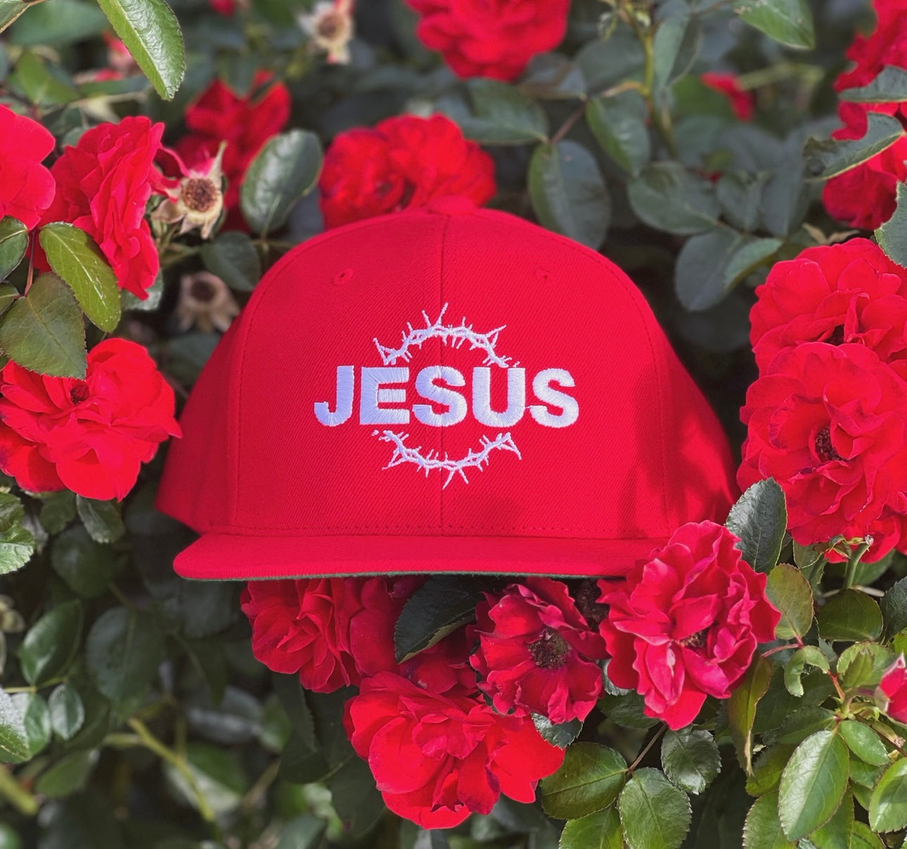 Jesus Snapback Hat